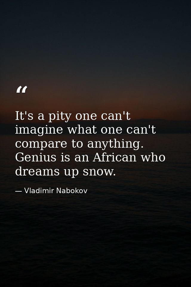 It's a pity one can't imagine what one can't compare to anything. Genius is an African who dreams up snow. — Vladimir Nabokov