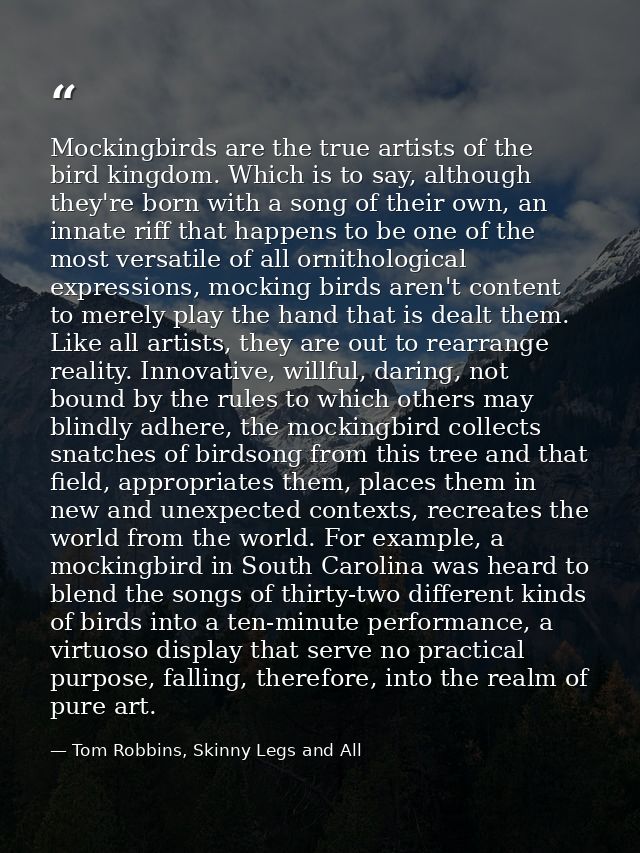 Mockingbirds are the true artists of the bird kingdom. Which is to say, although they're born with a song of their own,  — Tom Robbins, Skinny Legs and All