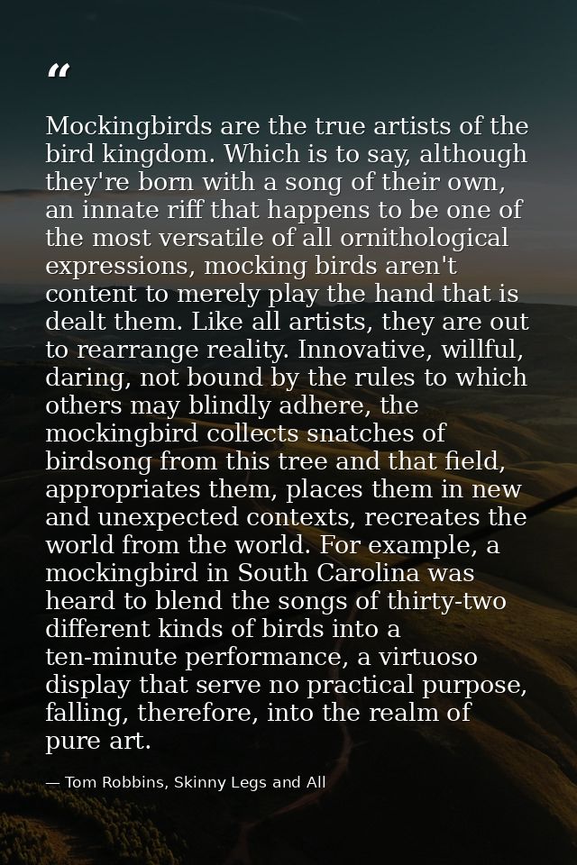 Mockingbirds are the true artists of the bird kingdom. Which is to say, although they're born with a song of their own,  — Tom Robbins, Skinny Legs and All