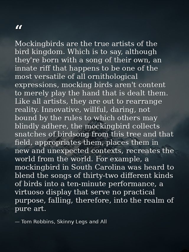 Mockingbirds are the true artists of the bird kingdom. Which is to say, although they're born with a song of their own,  — Tom Robbins, Skinny Legs and All