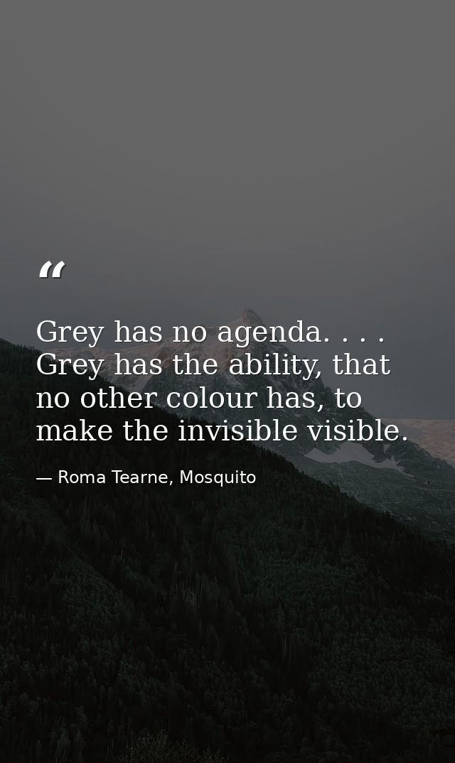 Grey has no agenda. . . . Grey has the ability, that no other colour has, to make the invisible visible. — Roma Tearne, Mosquito