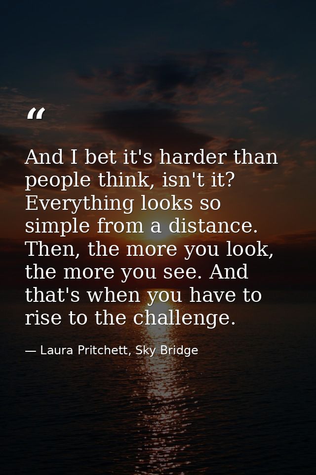 And I bet it's harder than people think, isn't it? Everything looks so simple from a distance. Then, the more you look,  — Laura Pritchett, Sky Bridge