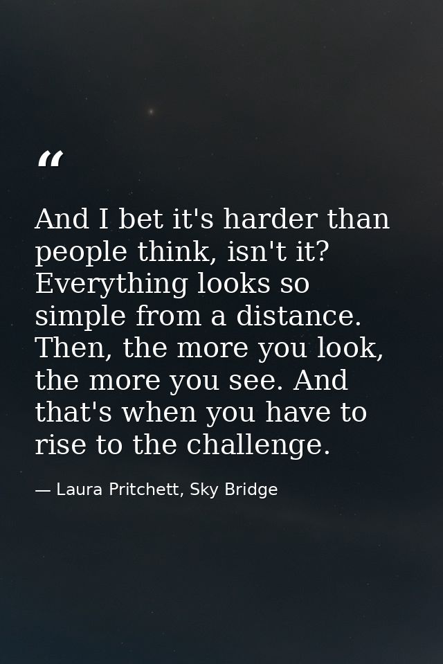 And I bet it's harder than people think, isn't it? Everything looks so simple from a distance. Then, the more you look,  — Laura Pritchett, Sky Bridge