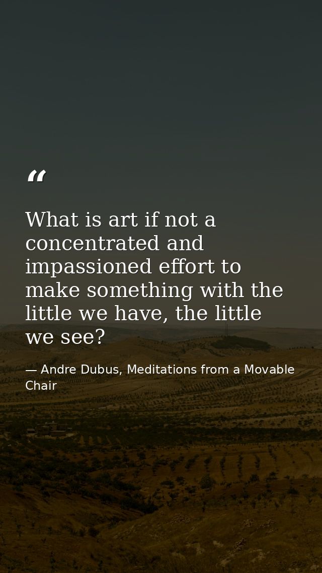 What is art if not a concentrated and impassioned effort to make something with the little we have, the little we see? — Andre Dubus, Meditations from a Movable Chair