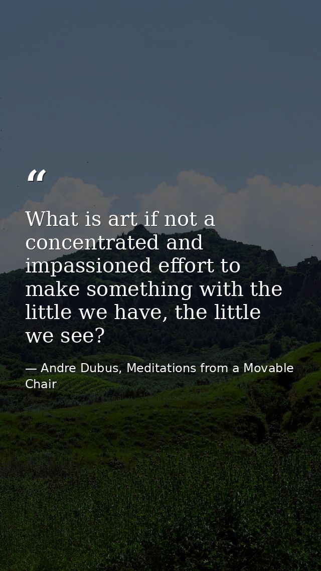 What is art if not a concentrated and impassioned effort to make something with the little we have, the little we see? — Andre Dubus, Meditations from a Movable Chair