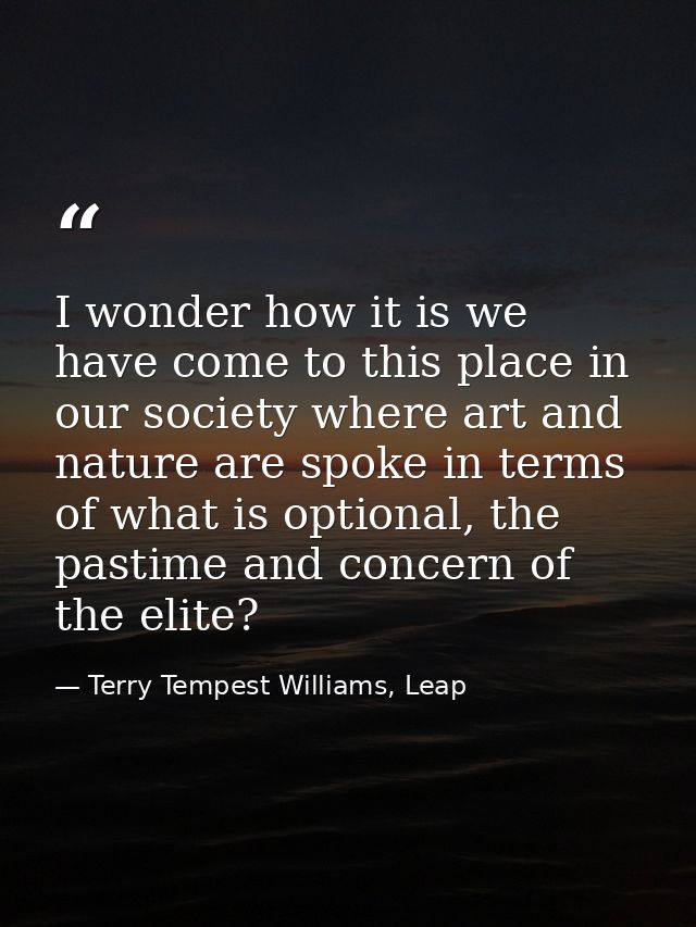 I wonder how it is we have come to this place in our society where art and nature are spoke in terms of what is optional — Terry Tempest Williams, Leap