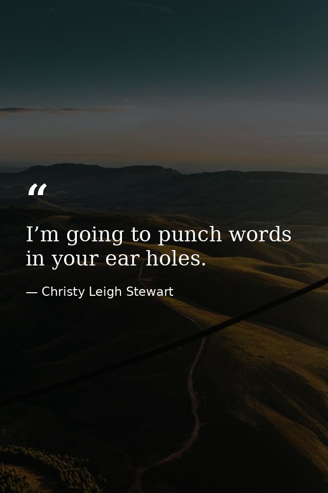I’m going to punch words in your ear holes. — Christy Leigh Stewart