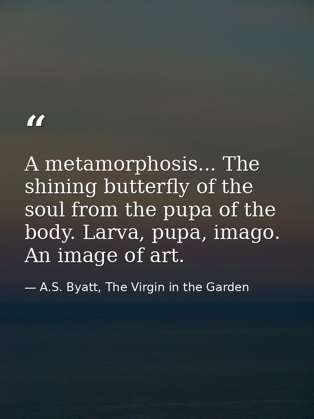 A metamorphosis... The shining butterfly of the soul from the pupa of the body. Larva, pupa, imago. An image of art. — A.S. Byatt, The Virgin in the Garden