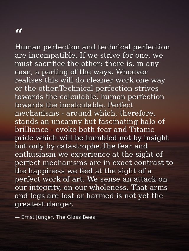 Human perfection and technical perfection are incompatible. If we strive for one, we must sacrifice the other: there is, — Ernst Jünger, The Glass Bees