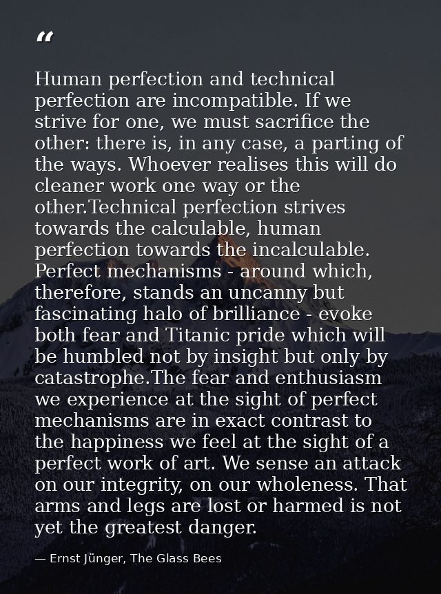 Human perfection and technical perfection are incompatible. If we strive for one, we must sacrifice the other: there is, — Ernst Jünger, The Glass Bees