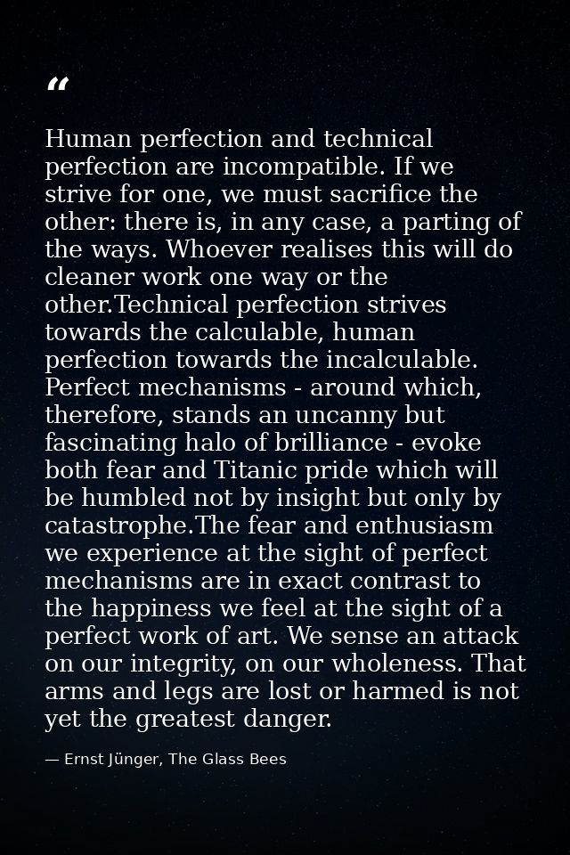 Human perfection and technical perfection are incompatible. If we strive for one, we must sacrifice the other: there is, — Ernst Jünger, The Glass Bees