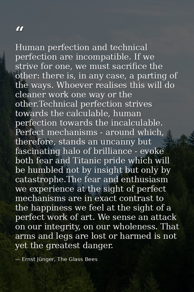 Human perfection and technical perfection are incompatible. If we strive for one, we must sacrifice the other: there is, — Ernst Jünger, The Glass Bees