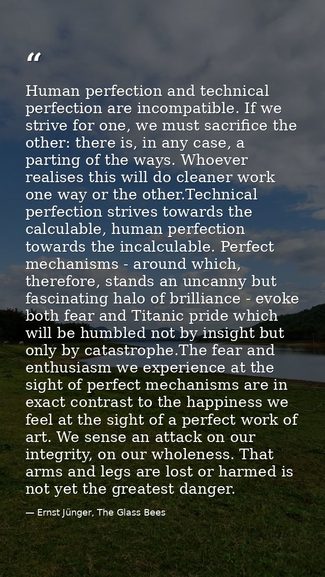 Human perfection and technical perfection are incompatible. If we strive for one, we must sacrifice the other: there is, — Ernst Jünger, The Glass Bees