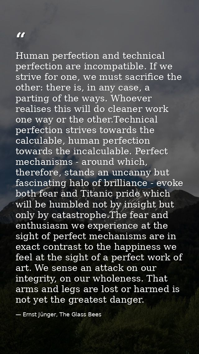 Human perfection and technical perfection are incompatible. If we strive for one, we must sacrifice the other: there is, — Ernst Jünger, The Glass Bees