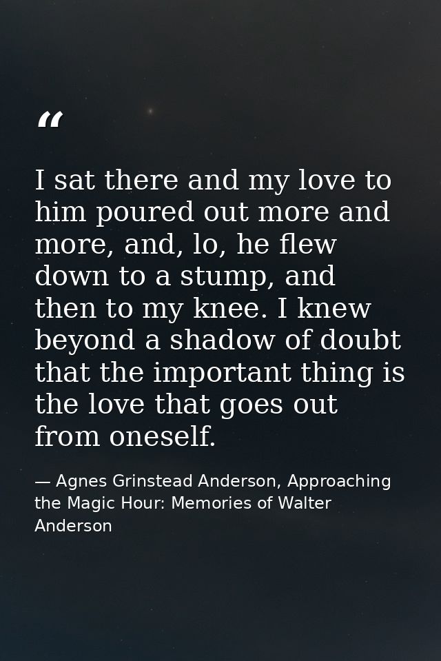 I sat there and my love to him poured out more and more, and, lo, he flew down to a stump, and then to my knee. I knew b — Agnes Grinstead Anderson, Approaching the Magic Hour: Memories of Walter Anderson