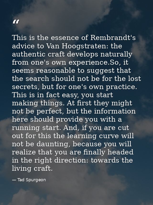 This is the essence of Rembrandt's advice to Van Hoogstraten: the authentic craft develops naturally from one's own expe — Tad Spurgeon