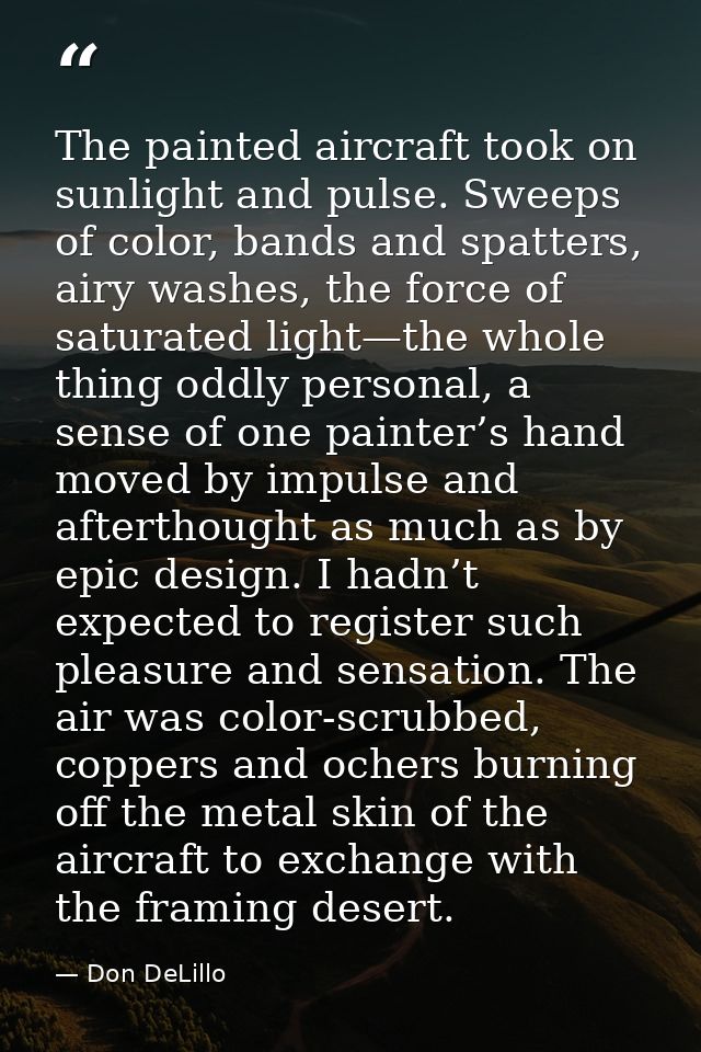 The painted aircraft took on sunlight and pulse. Sweeps of color, bands and spatters, airy washes, the force of saturate — Don DeLillo