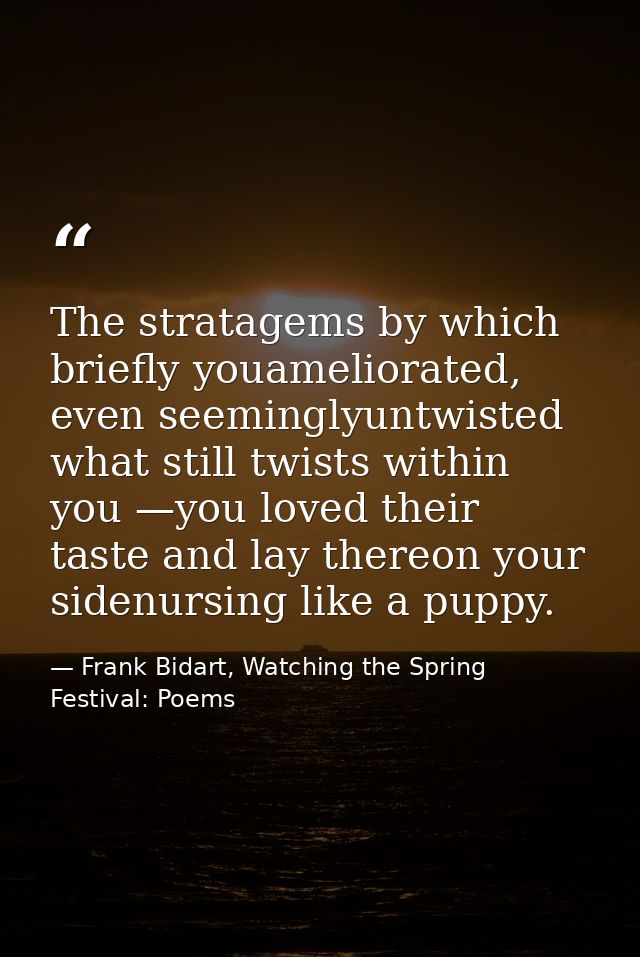 The stratagems by which briefly youameliorated, even seeminglyuntwisted what still twists within you —you loved their ta — Frank Bidart, Watching the Spring Festival: Poems