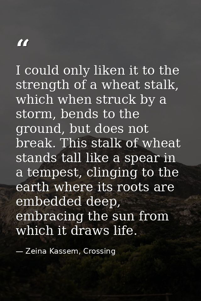 I could only liken it to the strength of a wheat stalk, which when struck by a storm, bends to the ground, but does not  — Zeina Kassem, Crossing