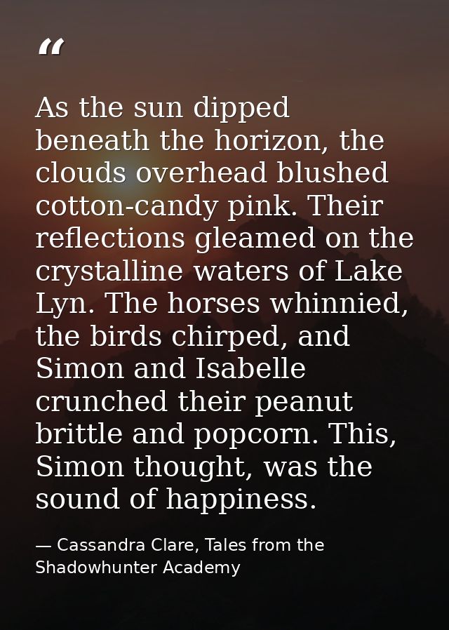 As the sun dipped beneath the horizon, the clouds overhead blushed cotton-candy pink. Their reflections gleamed on the c — Cassandra Clare, Tales from the Shadowhunter Academy