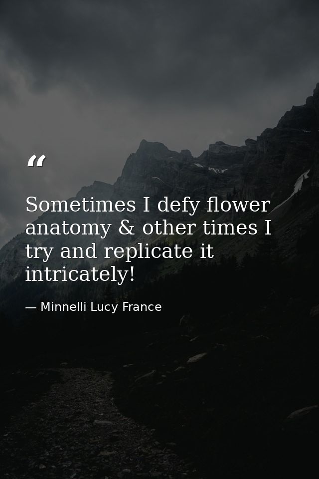 Sometimes I defy flower anatomy & other times I try and replicate it intricately! — Minnelli Lucy France