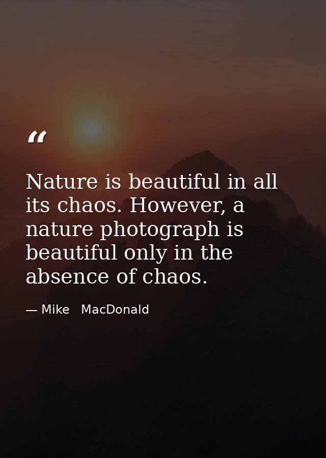 Nature is beautiful in all its chaos. However, a nature photograph is beautiful only in the absence of chaos. — Mike   MacDonald