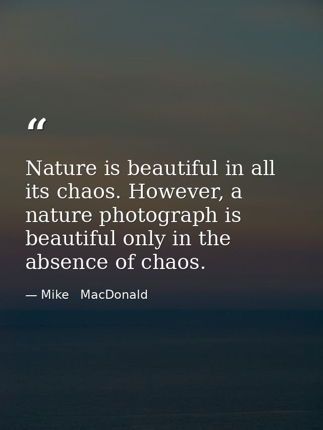 Nature is beautiful in all its chaos. However, a nature photograph is beautiful only in the absence of chaos. — Mike   MacDonald