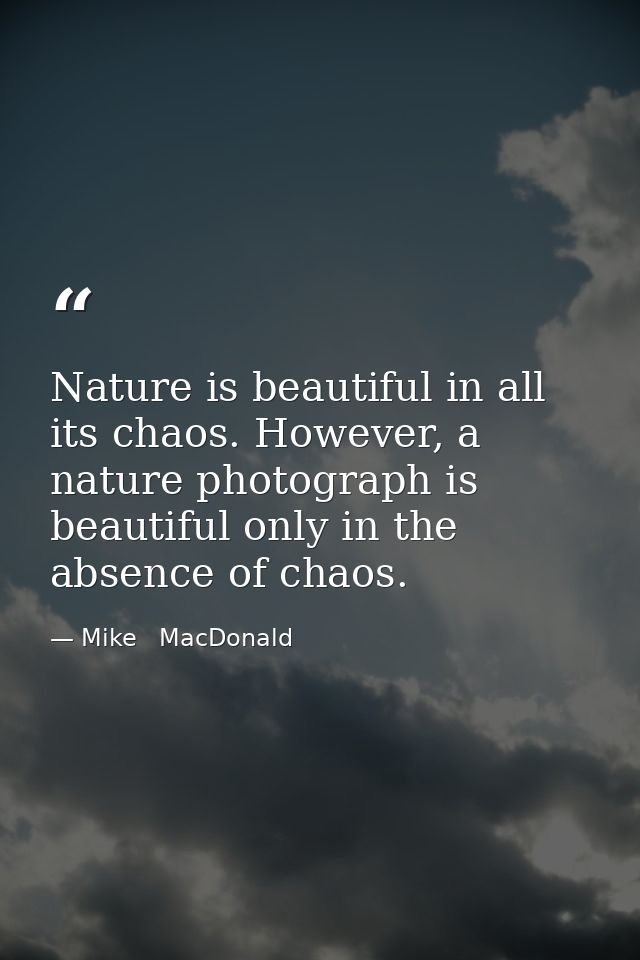 Nature is beautiful in all its chaos. However, a nature photograph is beautiful only in the absence of chaos. — Mike   MacDonald