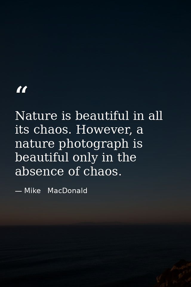 Nature is beautiful in all its chaos. However, a nature photograph is beautiful only in the absence of chaos. — Mike   MacDonald