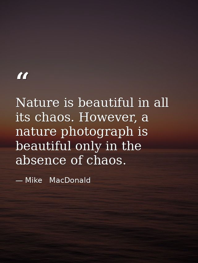 Nature is beautiful in all its chaos. However, a nature photograph is beautiful only in the absence of chaos. — Mike   MacDonald