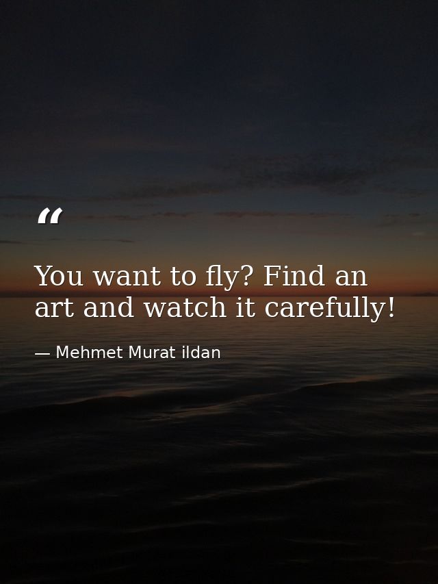 You want to fly? Find an art and watch it carefully! — Mehmet Murat ildan