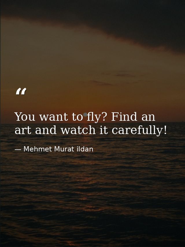 You want to fly? Find an art and watch it carefully! — Mehmet Murat ildan