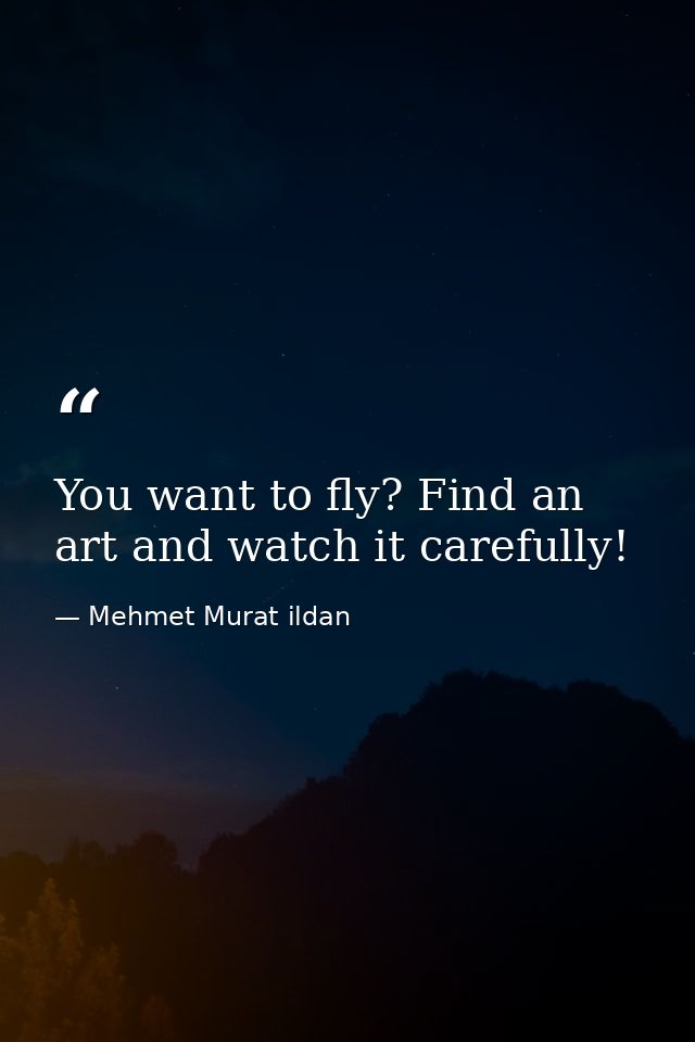 You want to fly? Find an art and watch it carefully! — Mehmet Murat ildan