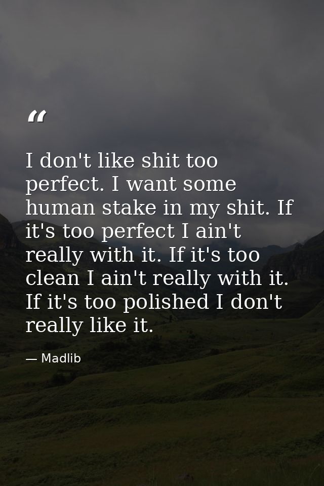 I don't like shit too perfect. I want some human stake in my shit. If it's too perfect I ain't really with it. If it's t — Madlib