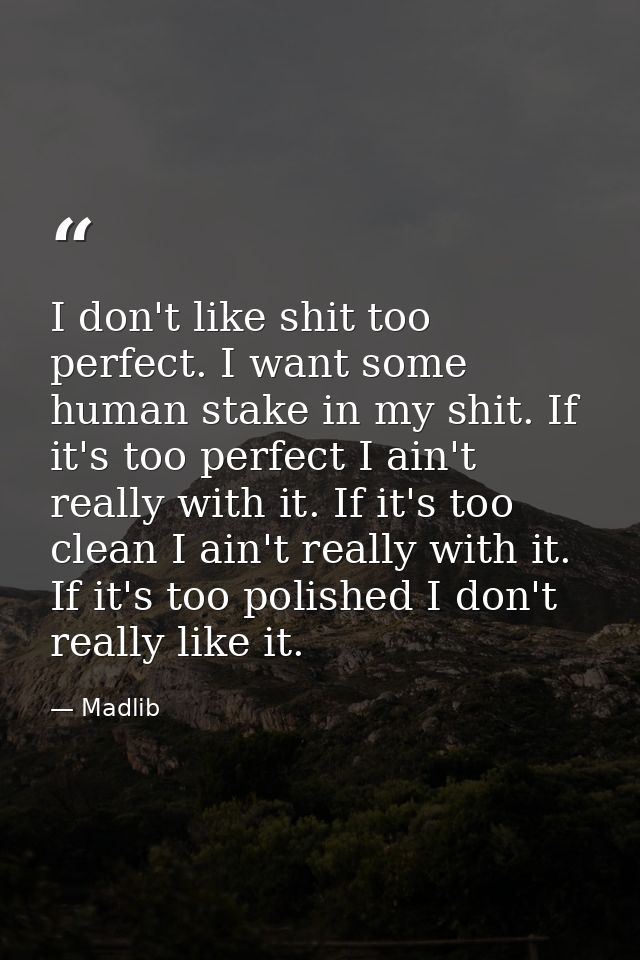 I don't like shit too perfect. I want some human stake in my shit. If it's too perfect I ain't really with it. If it's t — Madlib
