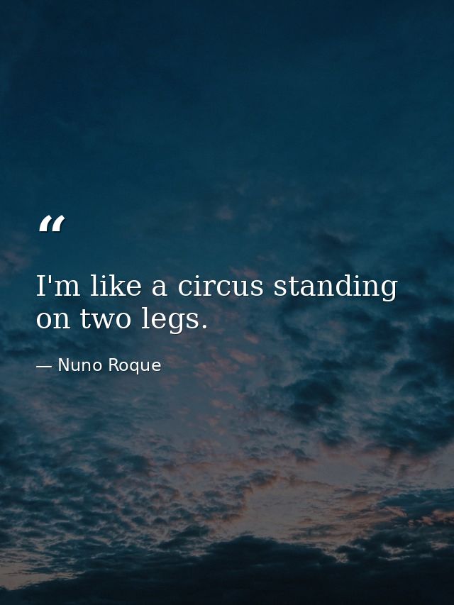 I'm like a circus standing on two legs. — Nuno Roque