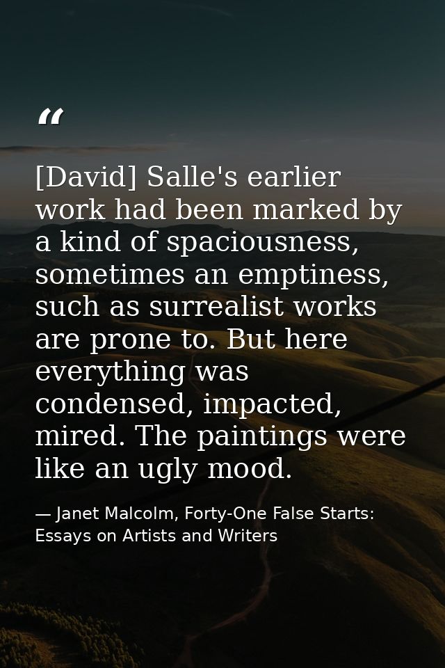 [David] Salle's earlier work had been marked by a kind of spaciousness, sometimes an emptiness, such as surrealist works — Janet Malcolm, Forty-One False Starts: Essays on Artists and Writers