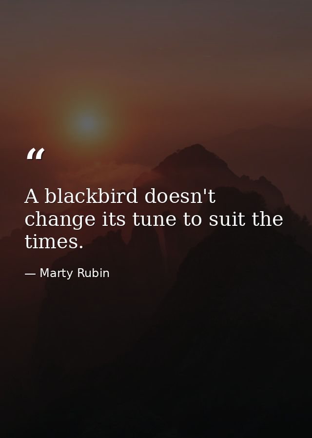 A blackbird doesn't change its tune to suit the times. — Marty Rubin