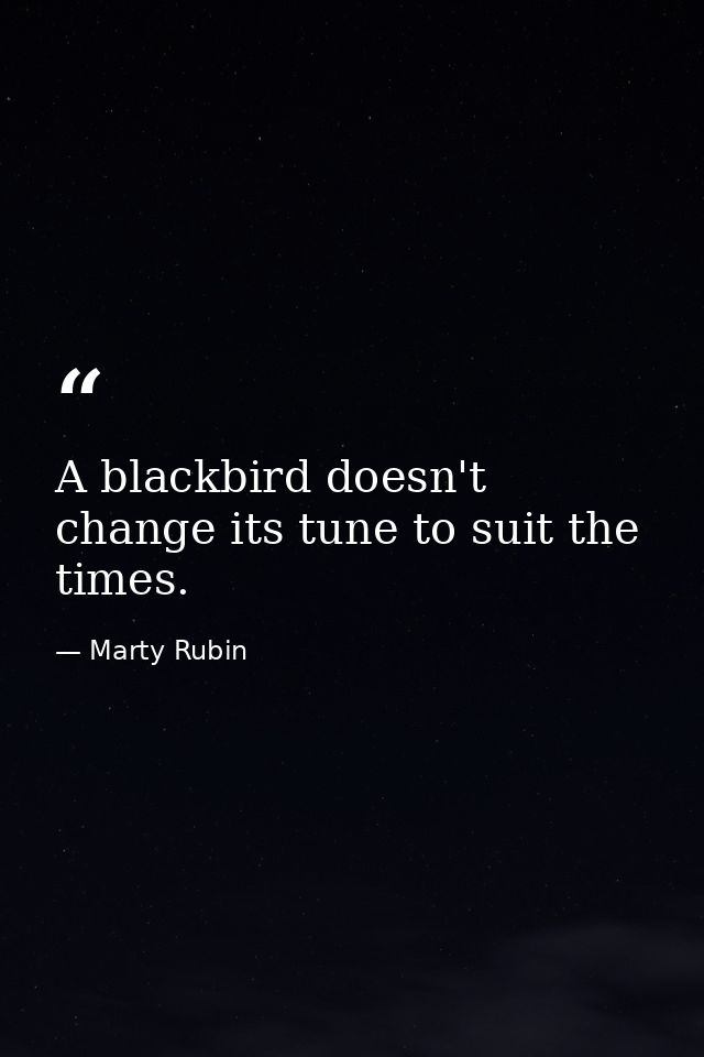 A blackbird doesn't change its tune to suit the times. — Marty Rubin