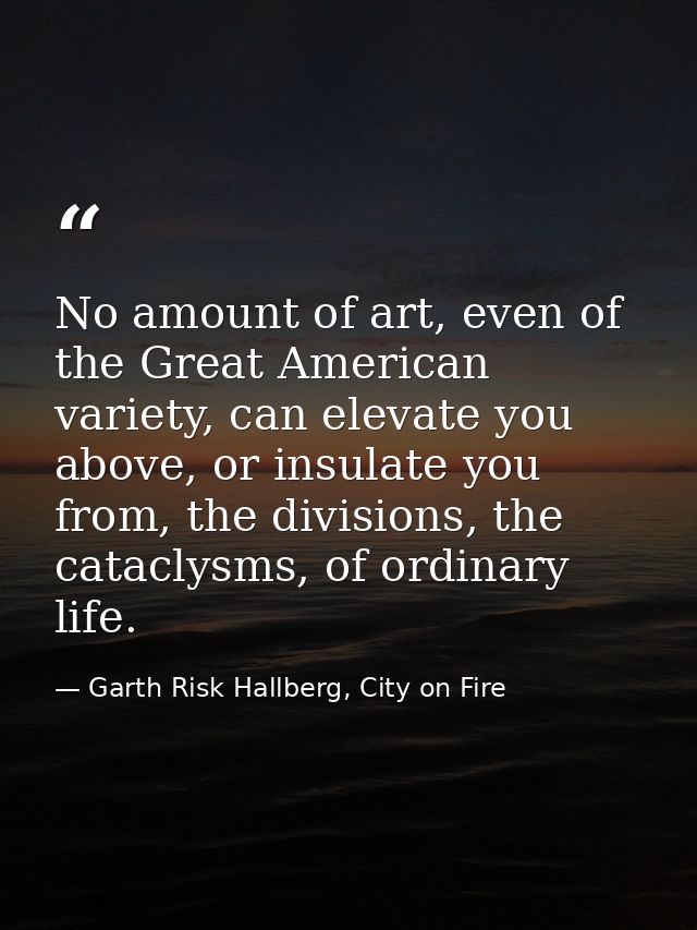 No amount of art, even of the Great American variety, can elevate you above, or insulate you from, the divisions, the ca — Garth Risk Hallberg, City on Fire