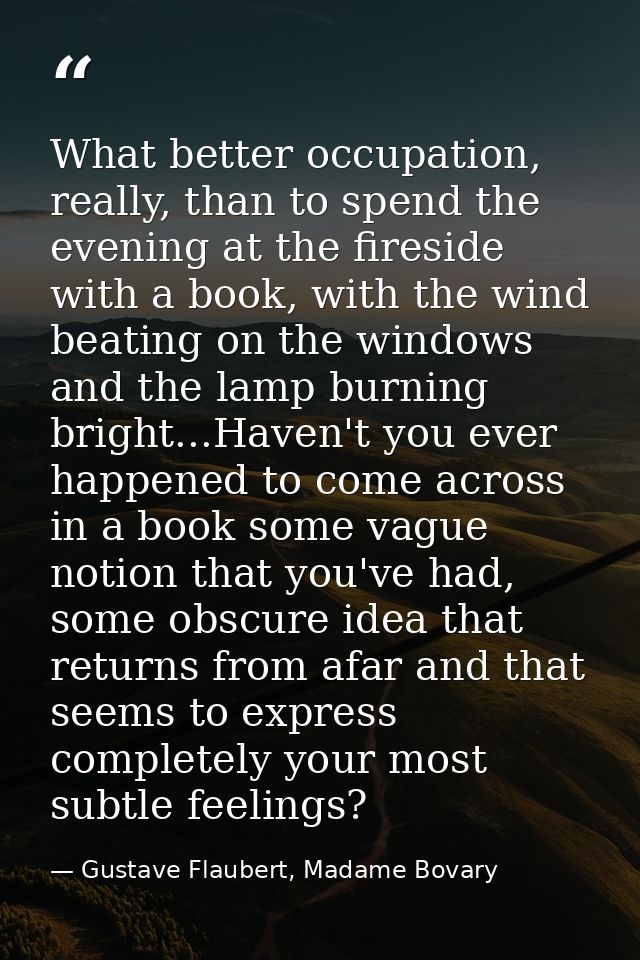 What better occupation, really, than to spend the evening at the fireside with a book, with the wind beating on the wind — Gustave Flaubert, Madame Bovary