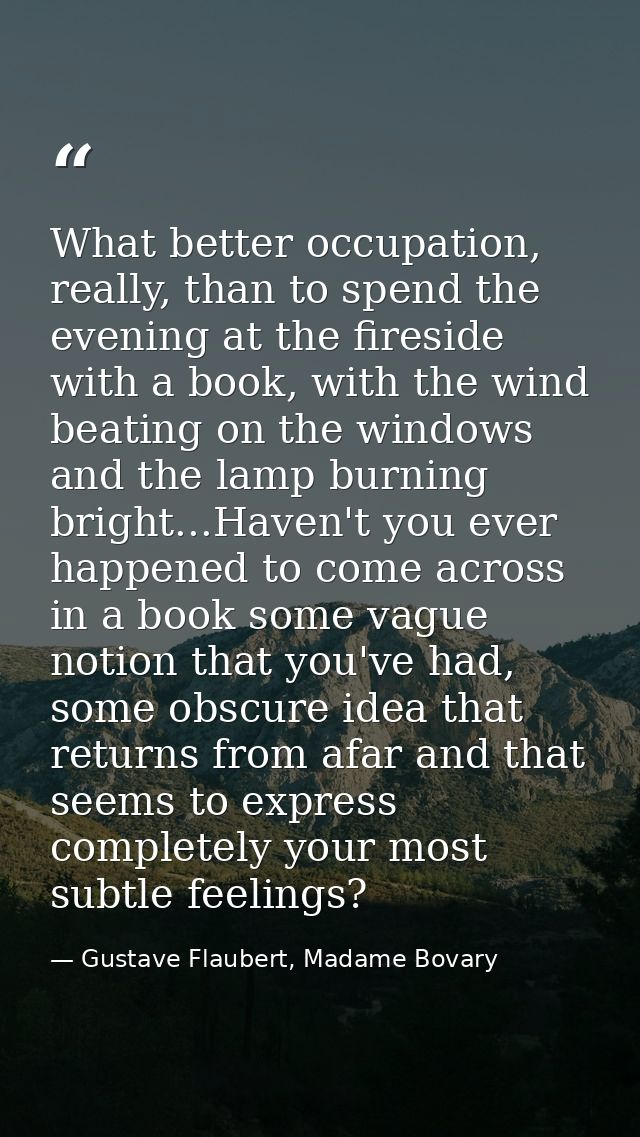 What better occupation, really, than to spend the evening at the fireside with a book, with the wind beating on the wind — Gustave Flaubert, Madame Bovary