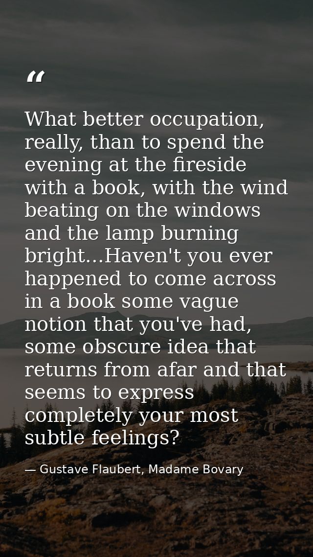 What better occupation, really, than to spend the evening at the fireside with a book, with the wind beating on the wind — Gustave Flaubert, Madame Bovary