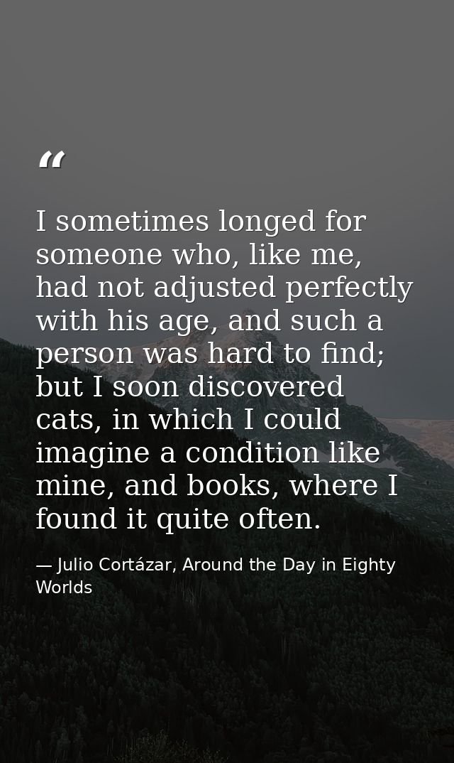 I sometimes longed for someone who, like me, had not adjusted perfectly with his age, and such a person was hard to find — Julio Cortázar, Around the Day in Eighty Worlds