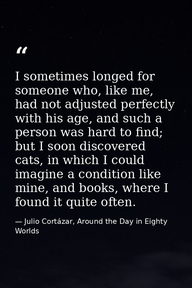 I sometimes longed for someone who, like me, had not adjusted perfectly with his age, and such a person was hard to find — Julio Cortázar, Around the Day in Eighty Worlds