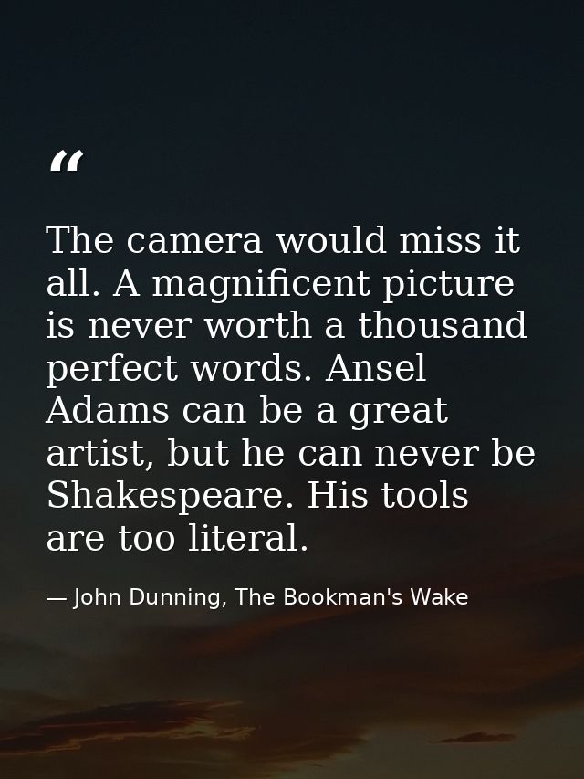 The camera would miss it all. A magnificent picture is never worth a thousand perfect words. Ansel Adams can be a great  — John Dunning, The Bookman's Wake
