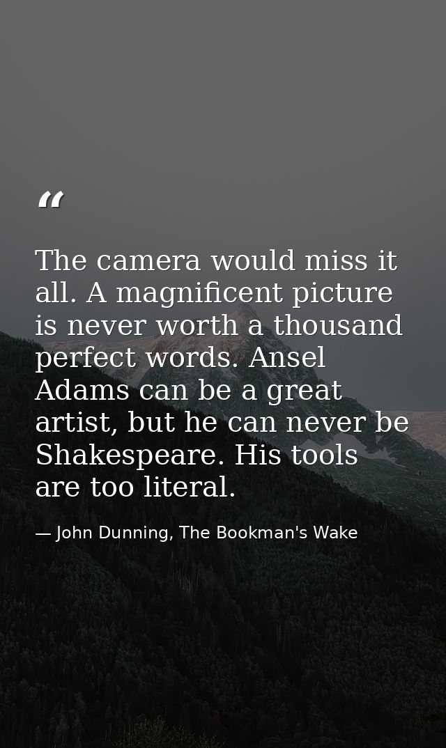 The camera would miss it all. A magnificent picture is never worth a thousand perfect words. Ansel Adams can be a great  — John Dunning, The Bookman's Wake