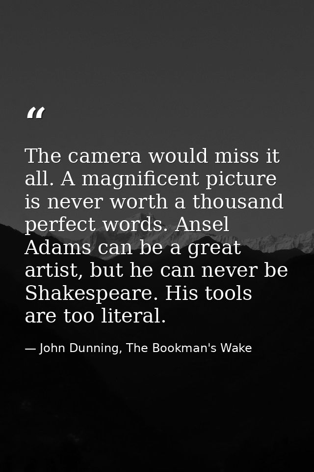The camera would miss it all. A magnificent picture is never worth a thousand perfect words. Ansel Adams can be a great  — John Dunning, The Bookman's Wake