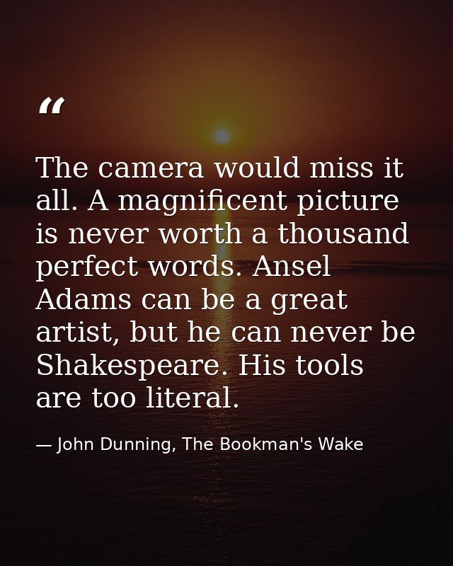 The camera would miss it all. A magnificent picture is never worth a thousand perfect words. Ansel Adams can be a great  — John Dunning, The Bookman's Wake