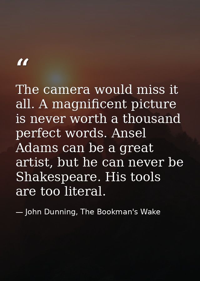 The camera would miss it all. A magnificent picture is never worth a thousand perfect words. Ansel Adams can be a great  — John Dunning, The Bookman's Wake